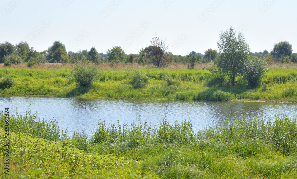 Fototapeta premium River at sunny day.