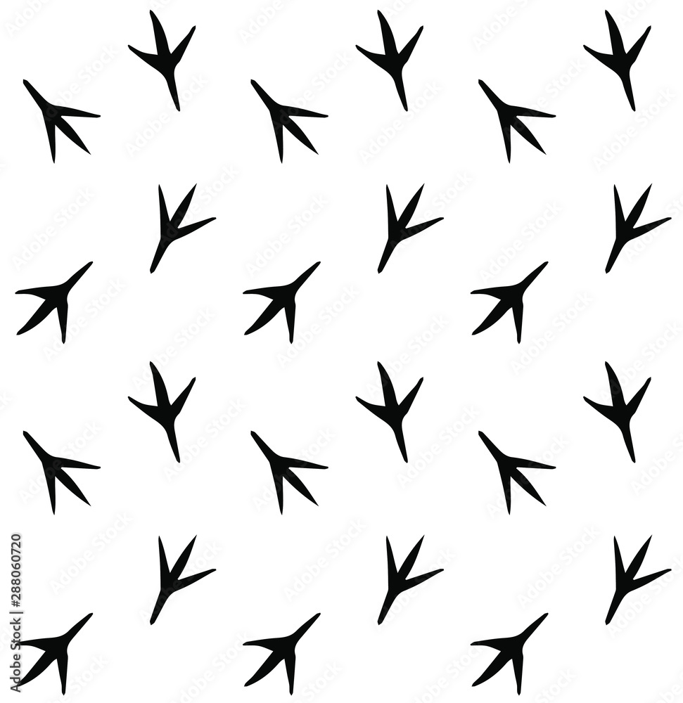 Vector seamless pattern of bird foot print steps isolated on white background Vector seamless pattern of bird foot print steps isolated on white background