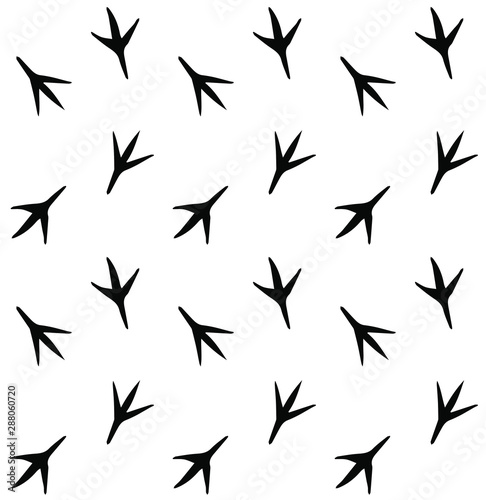 Vector seamless pattern of bird foot print steps isolated on white background 