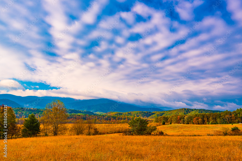 Fototapeta premium Smoky Mountain Meadow