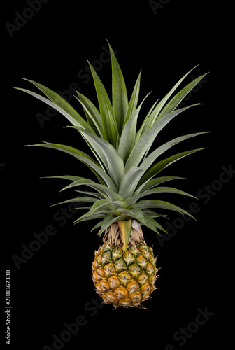 Full Ripe pineapple with green leave isolated on black background.