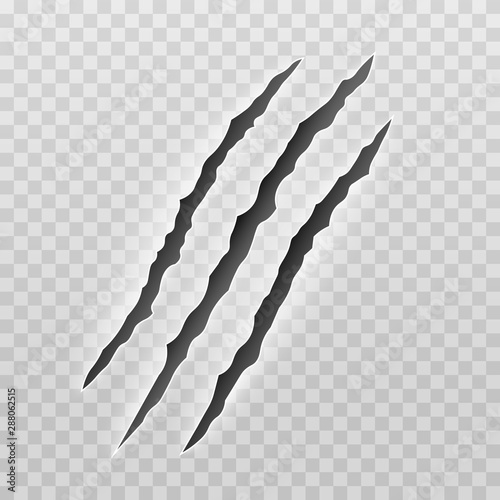 Claw marks. Claws scratches, cat and beast, lion and bear animals paws attack tracks. Halloween decoration.Vector illustration