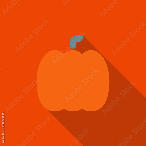 Pumpkin flat icon vector, pumpkin sign 