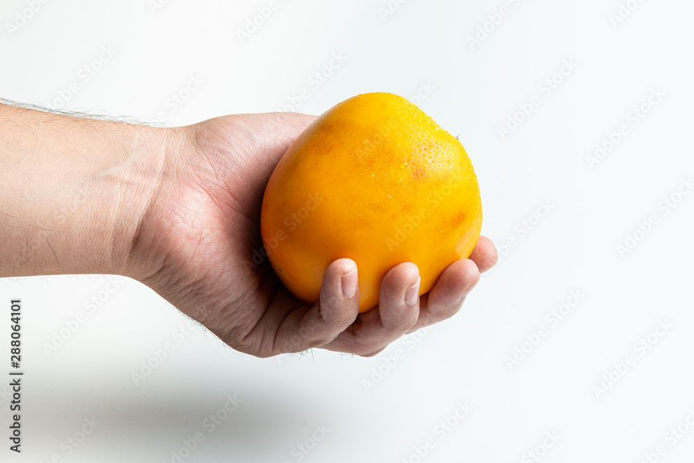Cocona: fresh tropical fruit in a hand, white background Cocona: fresh tropical fruit in a hand, white background