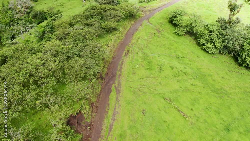 Aerial, drone, high angle, ​flying along a dirt path carved into the rolling hills of Northern Costa Rica.