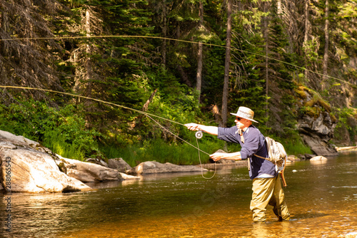 Fly fishing mountain stream.