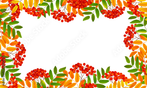 Red rowan berries and orange autumn leaves rectangle frame, vector realistic fall banner background