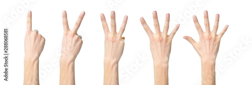 collage of human hands and fingers showing numbers one to five