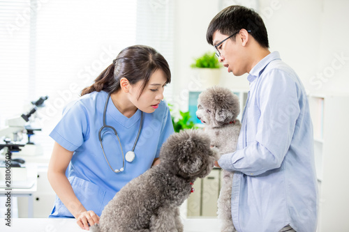 Photographie pet dog and the vet