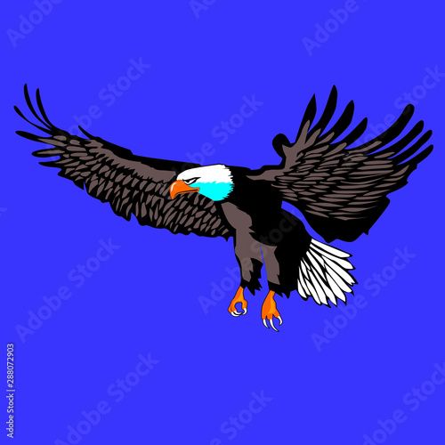 American Eagle in easy flght for hunting vector isolated for the background
