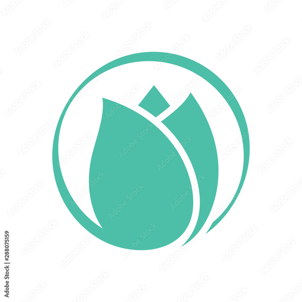 Obraz premium Tulip flower