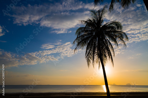 Fototapeta Naklejka Na Ścianę i Meble -  Siluate coconut tree on the beach