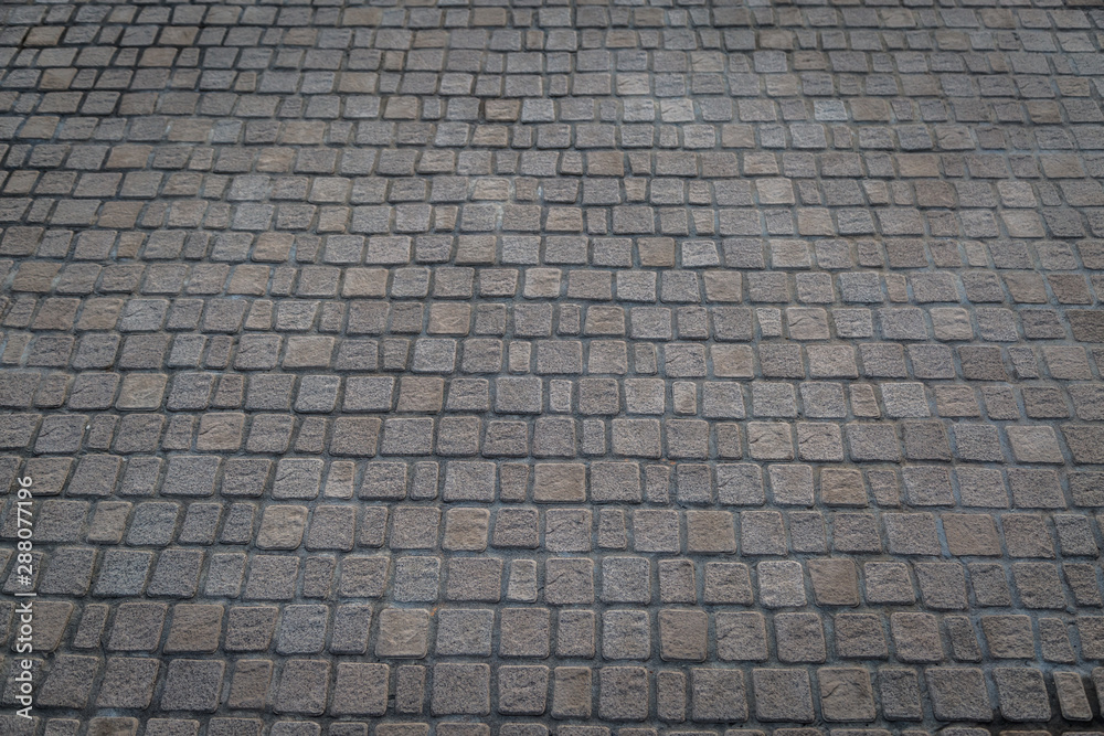 Cobblestone pavement texture