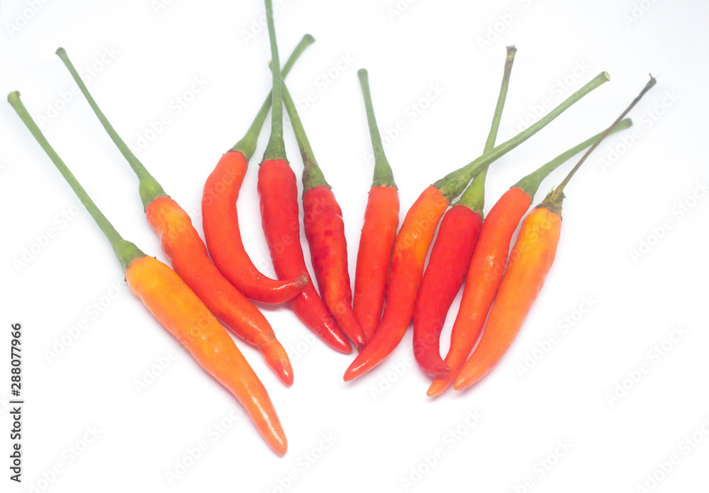red chili peppers isolated on white background red chili peppers isolated on white background
