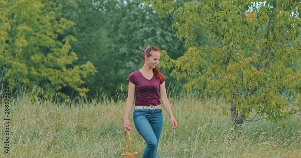 Young and happy woman walks on the lawn with a basket and looks around. Summer walk in the forest. Young and happy woman walks on the lawn with a basket and looks around. Summer walk in the forest.