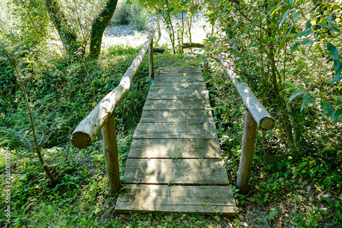 wooden bridge in forest, digital photo picture as a background photo