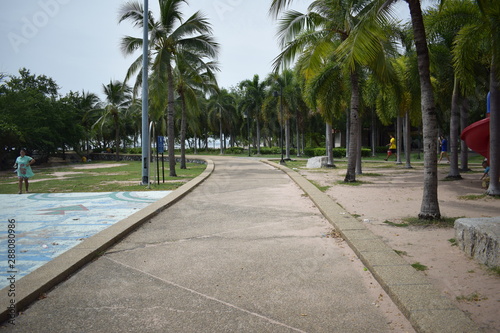 road in park