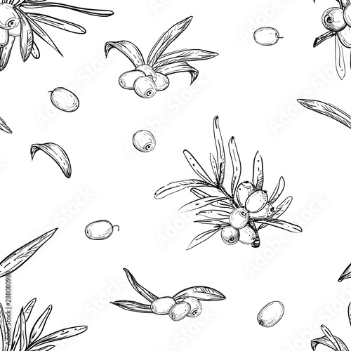 Hand drawn vector seamless pattern of seaberry branches, leaf, berry. Black and white illustration.