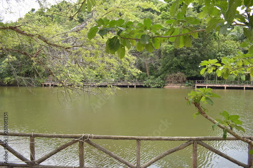 bridge over the river