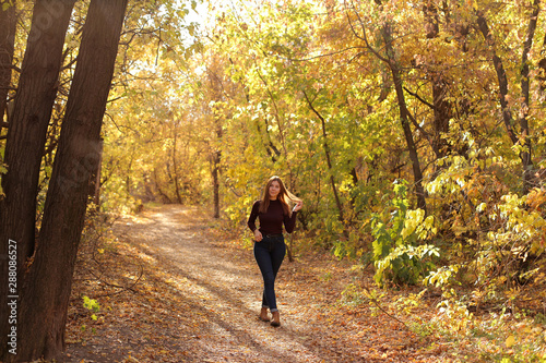 Autumn view, one girl walks in the park. The girl walks through the alley among the autumn trees. Yellow leaves, autumn park, a lonely girl is resting in autumn park.