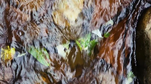 Looking down on running water flowing quickly over leaves that are caught on a submerged branch. The leave are trapped underwater and being pummeled by the streaming surge pushing past them downstream