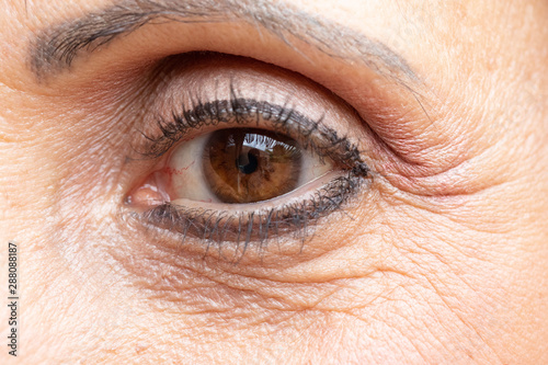 A close-up macro view on the brown eye of an older lady, with wrinkles and crow's feet (laughter lines), natural aging of the human skin. Maturity and wisdom concept.