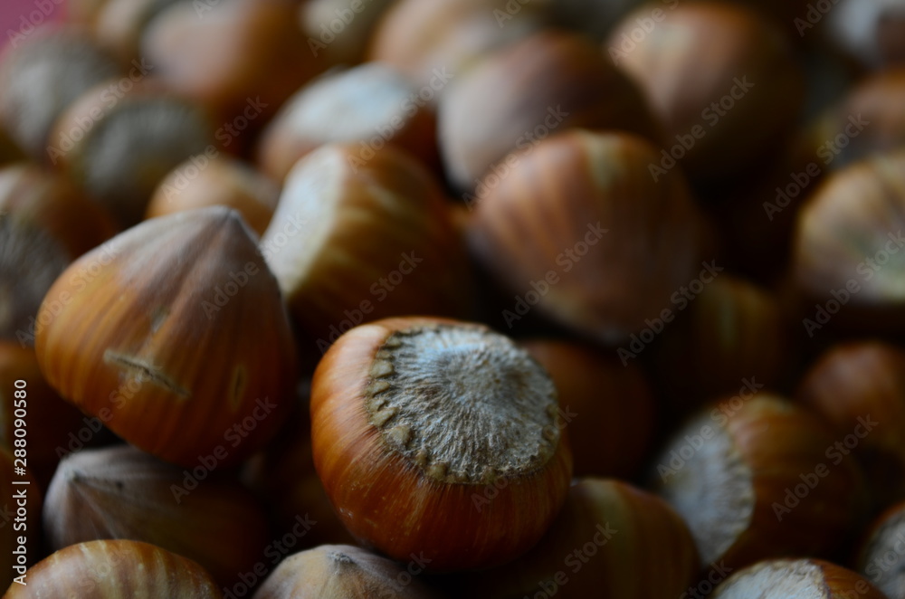 ripe collected hazelnuts on a table close up ripe collected hazelnuts on a table close up
