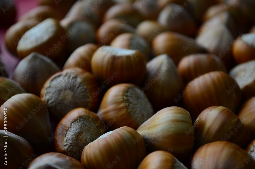 ripe collected hazelnuts on a table close up ripe collected hazelnuts on a table close up