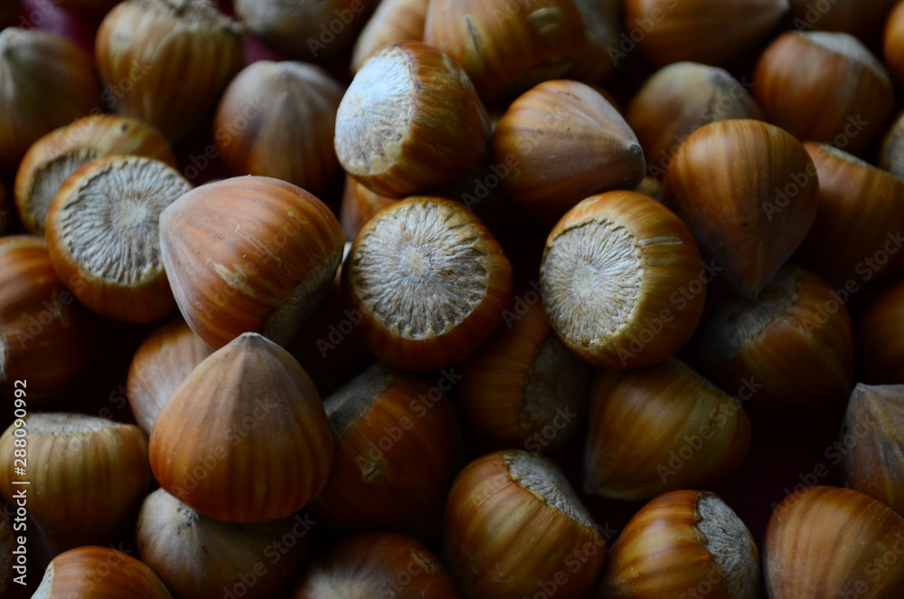 ripe collected hazelnuts on a table close up