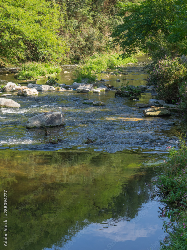 Castiglione Olona - Italy, uncontaminated stretch of the Olona river in the woods Castiglione Olona - Italy, uncontaminated stretch of the Olona river in the woods