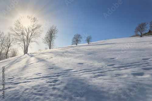 sunrise trought the tree doing shadows on the snow  covered a hill © coco