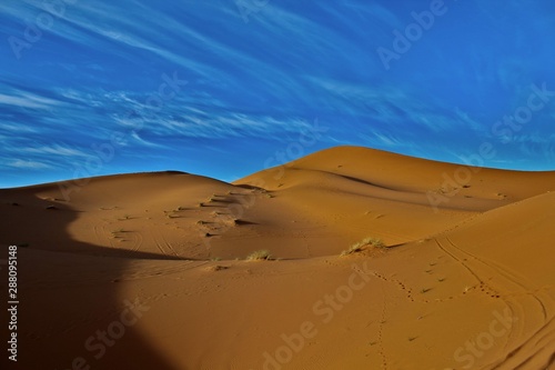 sand dunes in the desert