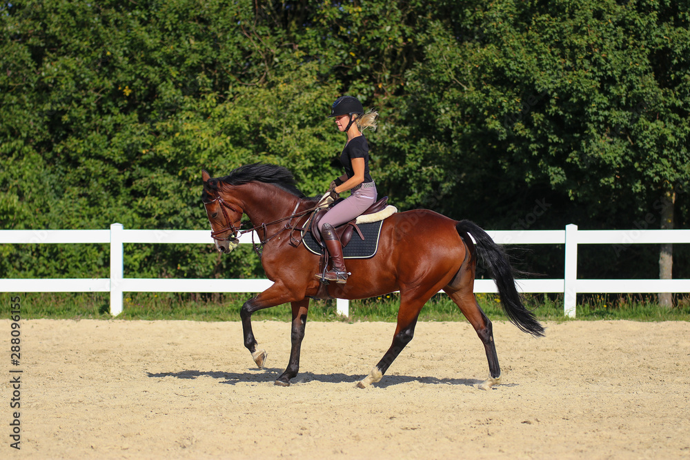 Horse with his young blond horsewoman riding in the riding arena in the sunshine.. Horse with his young blond horsewoman riding in the riding arena in the sunshine..