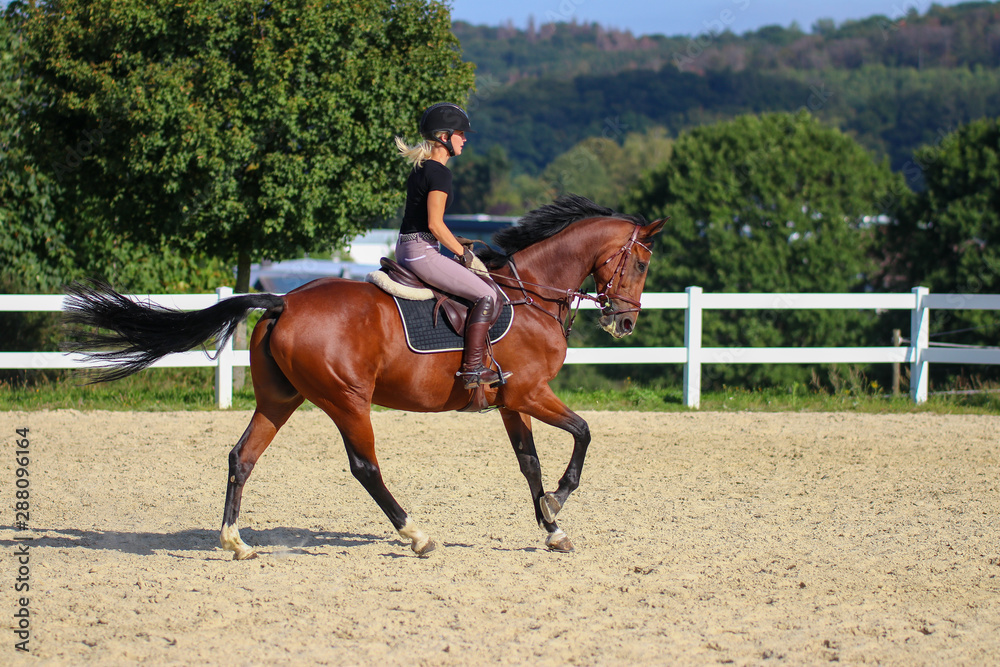 Horse with his young blond horsewoman riding in the riding arena in the sunshine.. Horse with his young blond horsewoman riding in the riding arena in the sunshine..