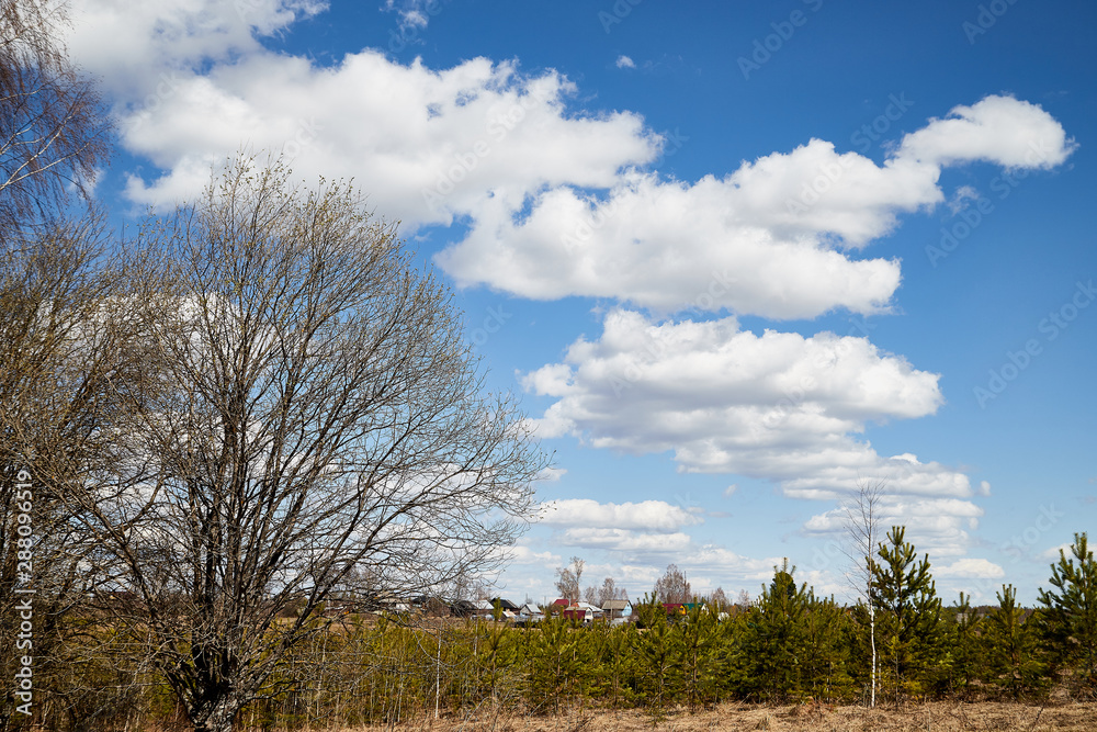 Beautiful blue sky with white clouds over field and village in a early spring day Beautiful blue sky with white clouds over field and village in a early spring day