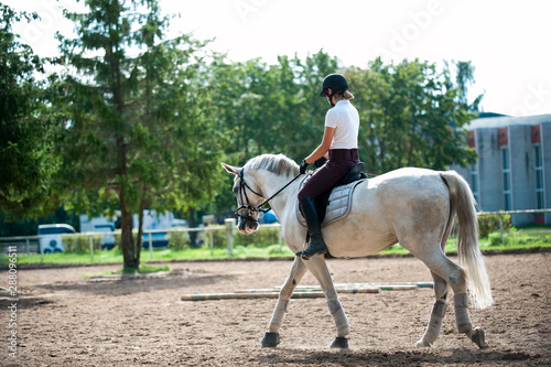 Young lady riding a trotting horse practicing at equestrian school