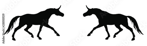 vector isolated image of the figure  the black silhouettes of two running unicorns on a white background