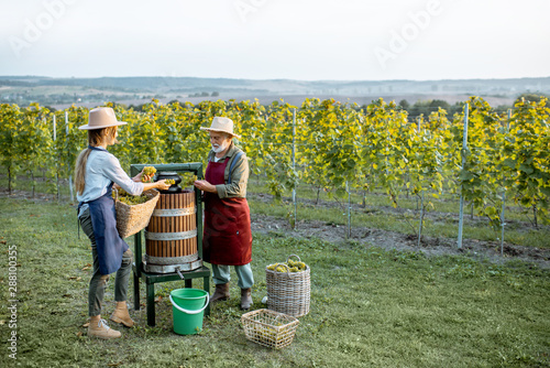 Wallpaper Mural Senior man and young woman as winemakers squeezing grapes with press machine on