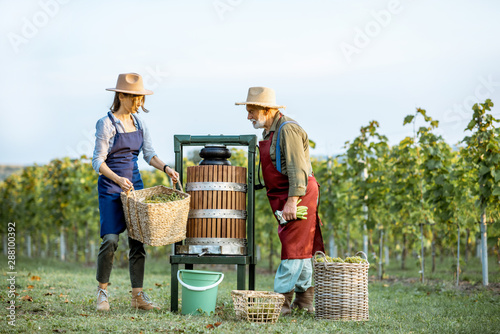 Εκτύπωση καμβά Senior man and young woman as winemakers squeezing grapes with press machine on