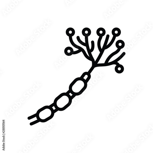 Black line icon for nerve 