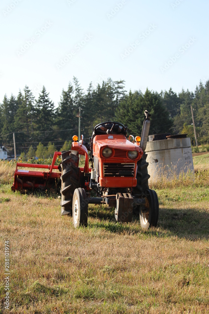 Obraz premium Tractor face