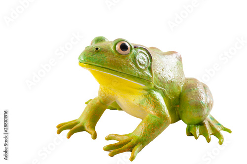 Realistic fake plastic frog sitting isolated on white background with clipping path cutout