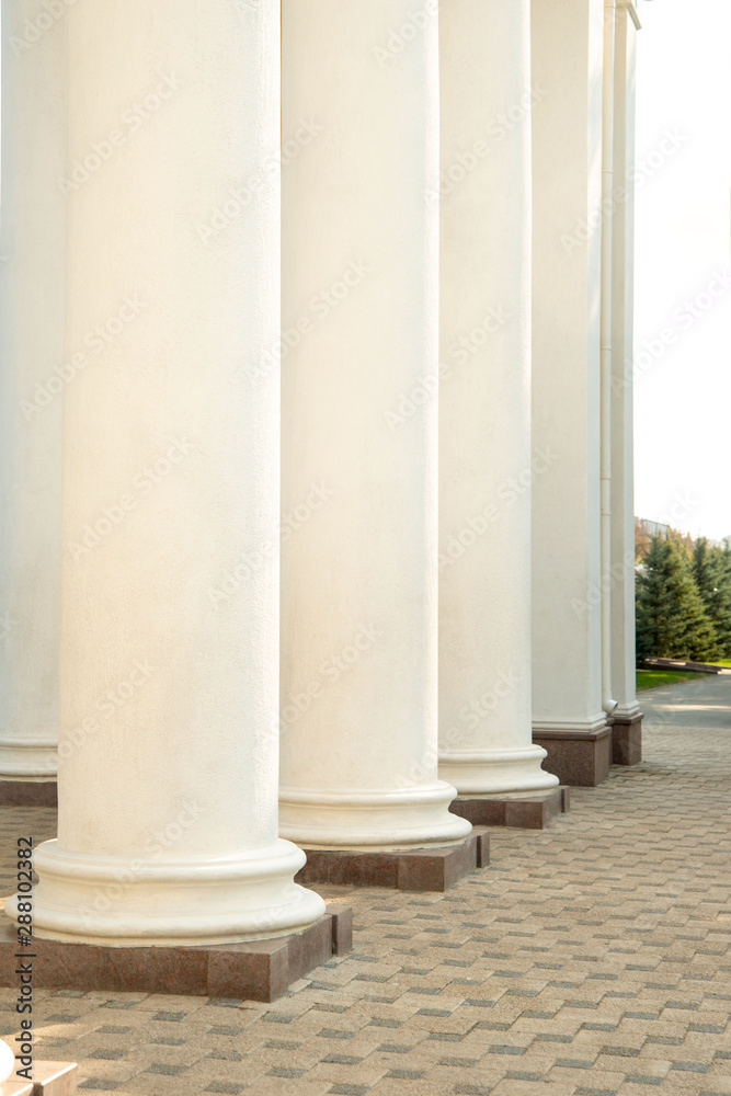 Classic white cylindrical columns. Classic white cylindrical columns.