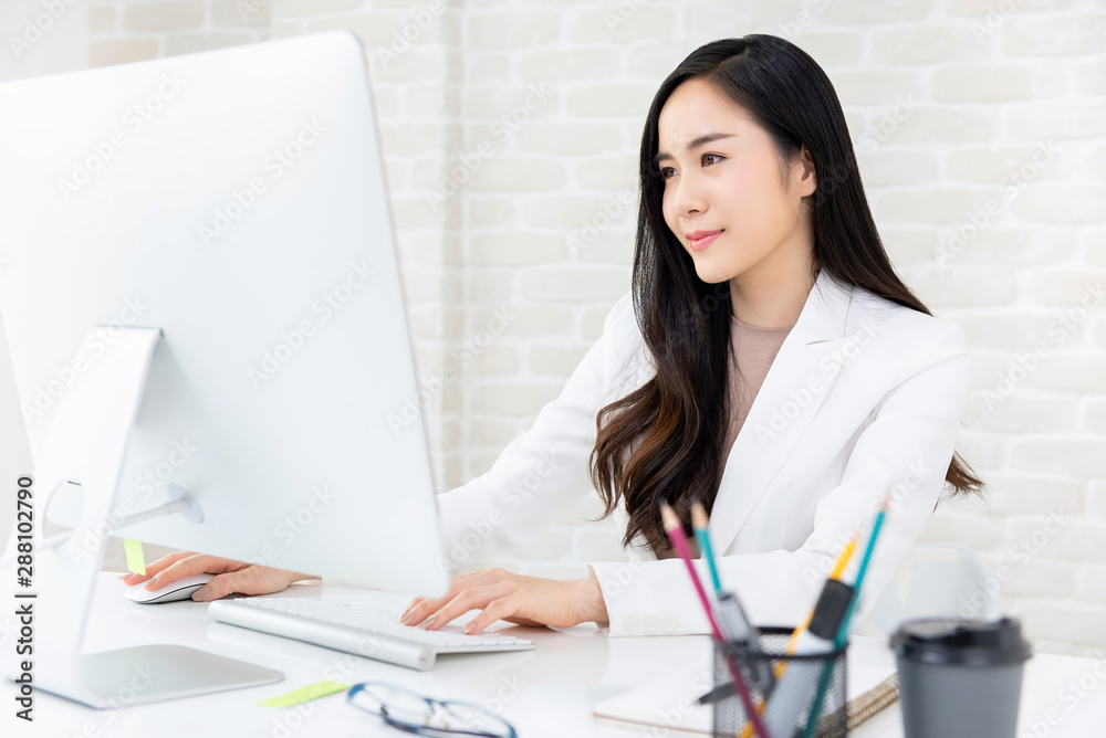 Beautiful working woman using computer in the office Beautiful working woman using computer in the office