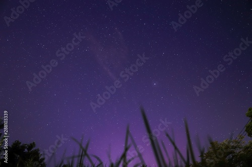 abstract background with green grass and stars © S.Shoichi