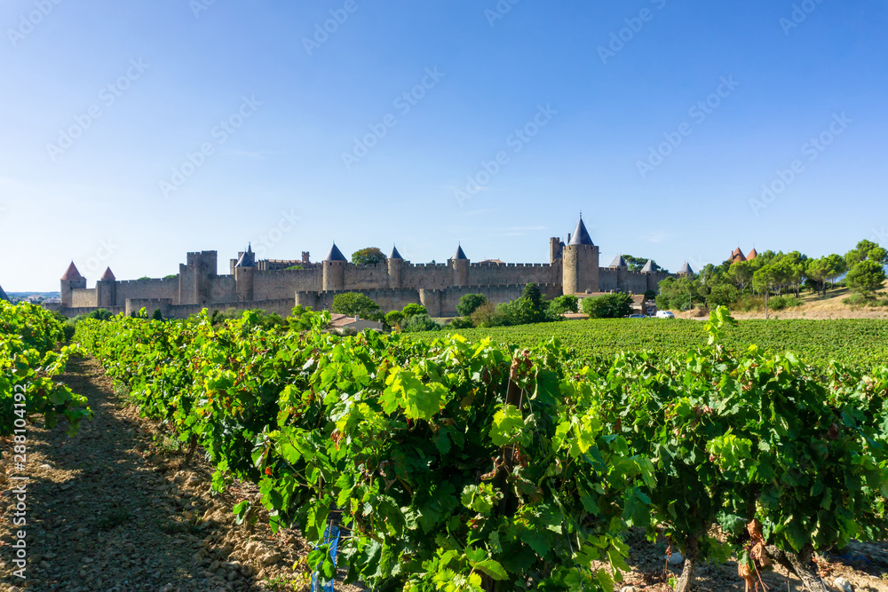 Champagne vineyards at Carcassonne background