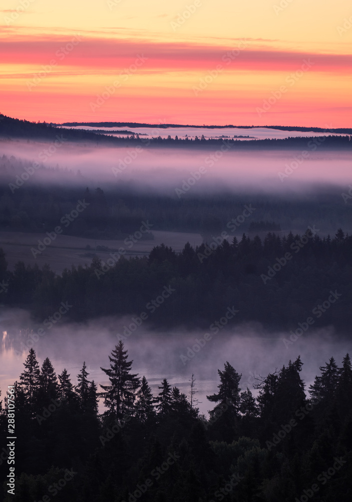 Obraz premium Scenic foggy landscape with mood forest at summer morning at National park, Finland. High angle aerial view.
