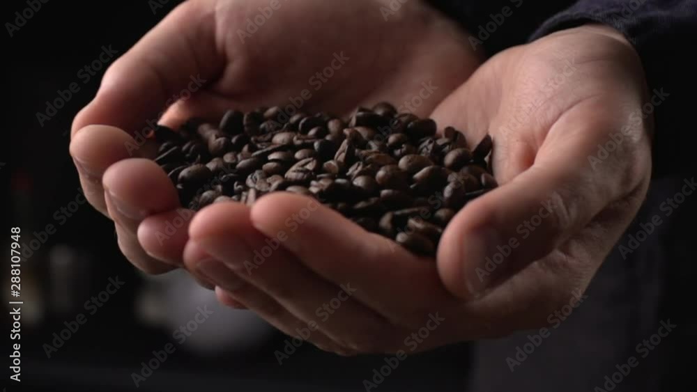 Coffee beans fall in hands in slow motion, barista prepare ingredients for work Coffee beans fall in hands in slow motion, barista prepare ingredients for work
