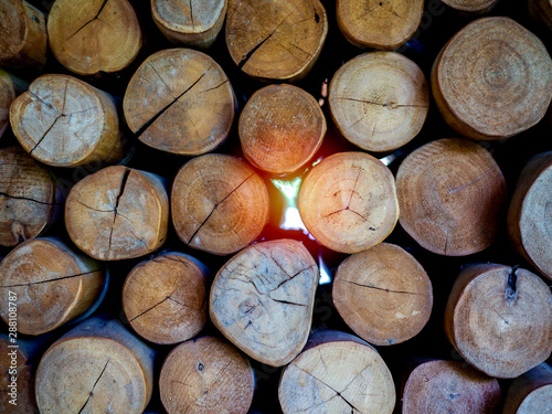 Firewood background. Chopped wood ready for winter.