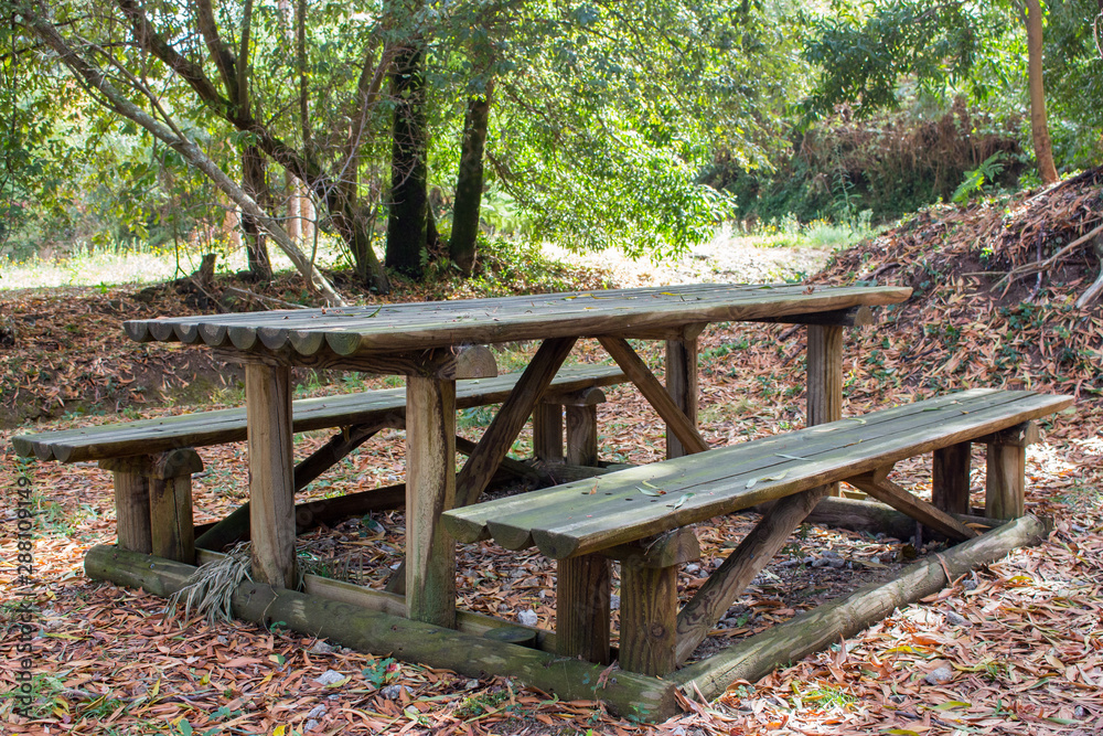 Wooden benches with table in the forest. Place for the rest and relax in park. Old outdoor furniture. Place for picnic. Tourism in autumn. September concept. Fall landscape.